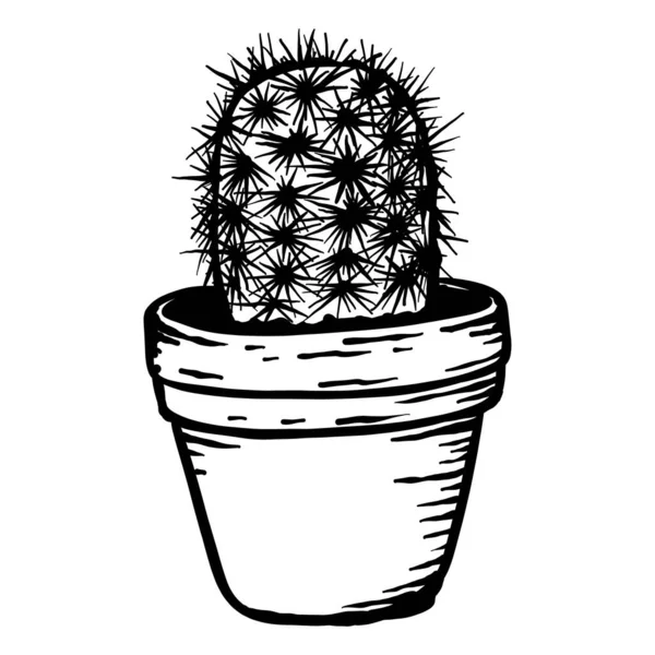 Pequeño Cactus Maceta Vector Dibujado Mano Línea Salida — Vector de stock