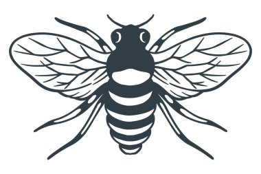 Bal arısı klasik vektör çizimi - Çizgi dışı