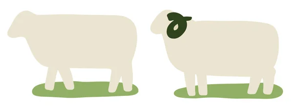 Schapen Met Hand Getekend Vectorillustratie — Stockvector