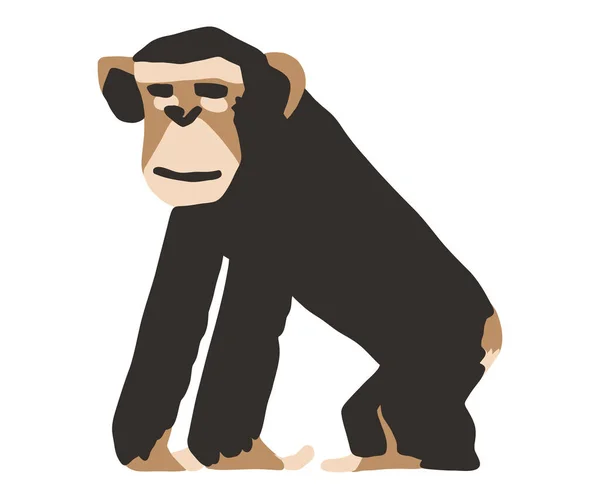 Scimmie Primate Scimmia Illustrazione Vettoriale — Vettoriale Stock