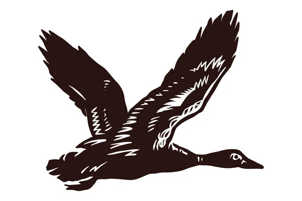 Pato Voador Ilustração Desenhada Mão —  Vetores de Stock