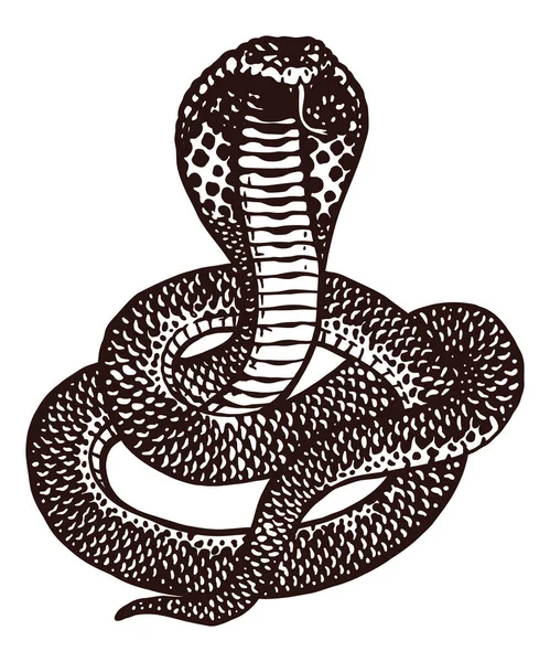 Cobra Serpiente Ilustración Dibujada Mano — Vector de stock