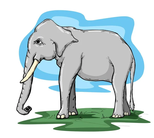 Afrikaanse Olifant Vector Illustratie Elephant Vector Stock Afbeelding — Stockvector