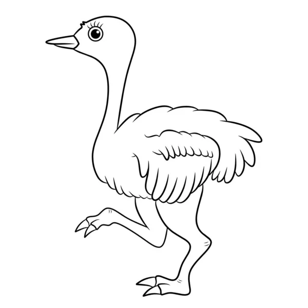 Ilustración Avestruz Dibujos Animados — Archivo Imágenes Vectoriales