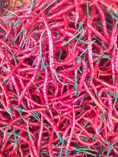 Fresh Red Chilies Tropical Asia Indonesia Indonesian Red Chilies Sold — Photo