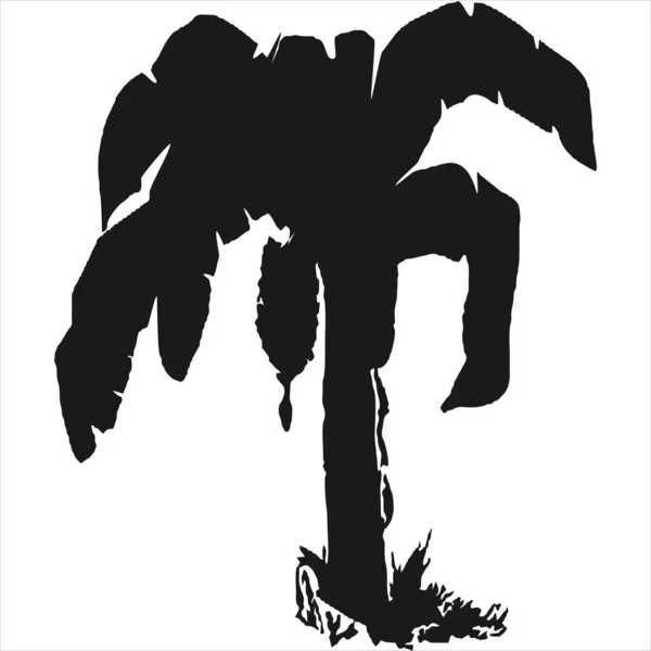 Vector Image Banana Tree Silhouette Icon Black White Color Transparent — 스톡 벡터