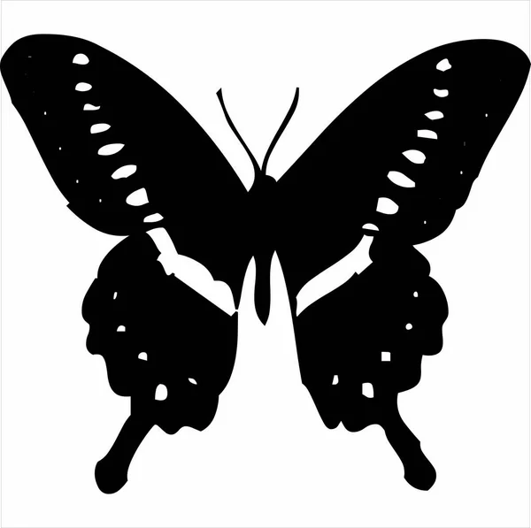 Вектор Изображение Иконки Силуэта Бабочки Черно Белый Цвет Прозрачный Фон — стоковый вектор