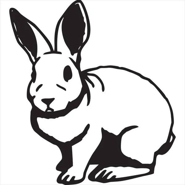 Vector Image Rabbit Black White Color Transparent Background — Vector de stock