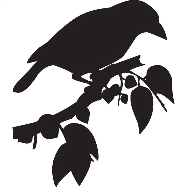 Vektor Bild Eines Vogels Der Auf Einer Astsilhouette Sitzt Schwarz — Stockvektor