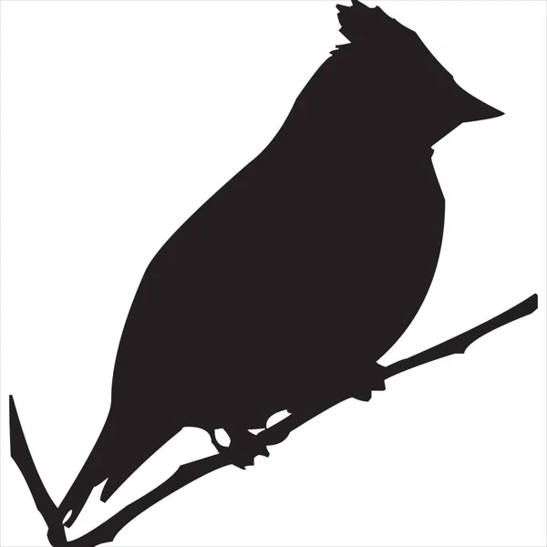 Vector Image Finches Silhouette Black White Color Transparent Background — Stok Vektör