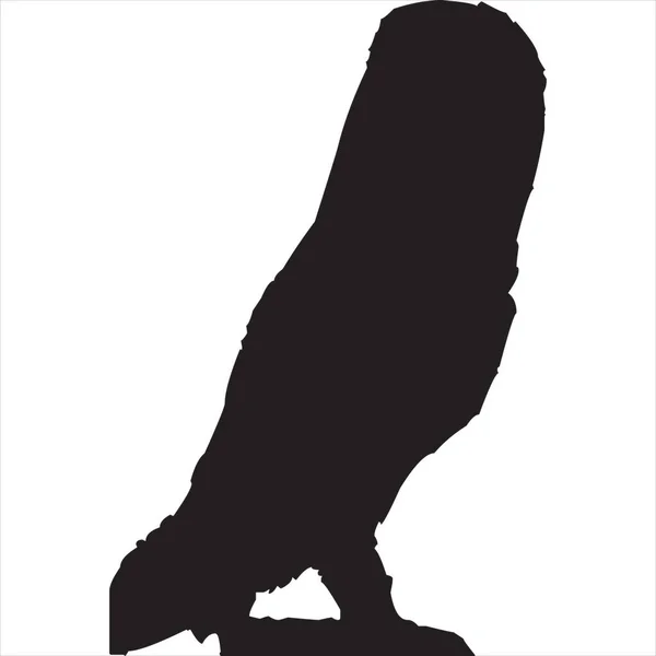 Vector Image Owl Silhouette Icon Black White Color Transparent Background — Stok Vektör