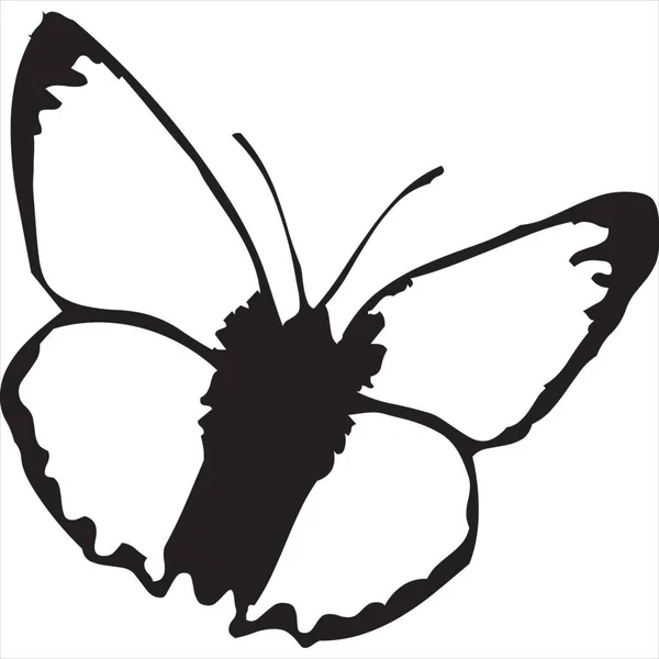 Вектор Изображение Иконки Бабочки Черно Белый Цвет Прозрачный Фон — стоковый вектор
