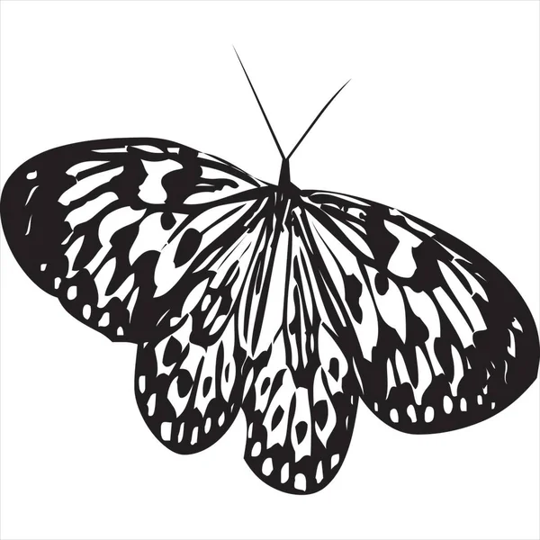 Vector Image Flying Butterfly Black White Color Transparent Background — Wektor stockowy