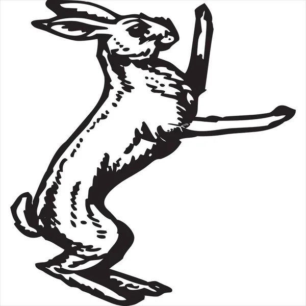 Vector Image Rabbit Icon Black White Color Transparent Background — Image vectorielle