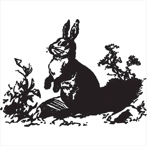 Vector Image Rabbit Looking Food Black White Color Transparent Background — Image vectorielle