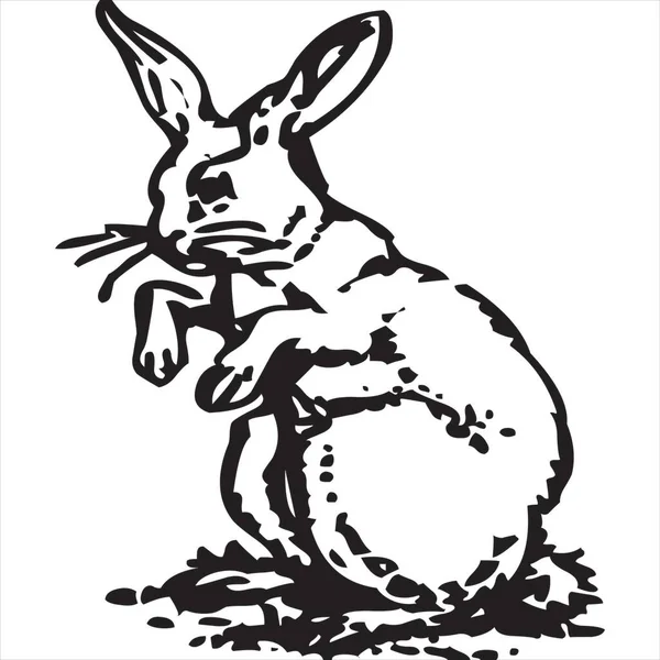 Vector Image Rabbit Black White Color Transparent Background — Image vectorielle