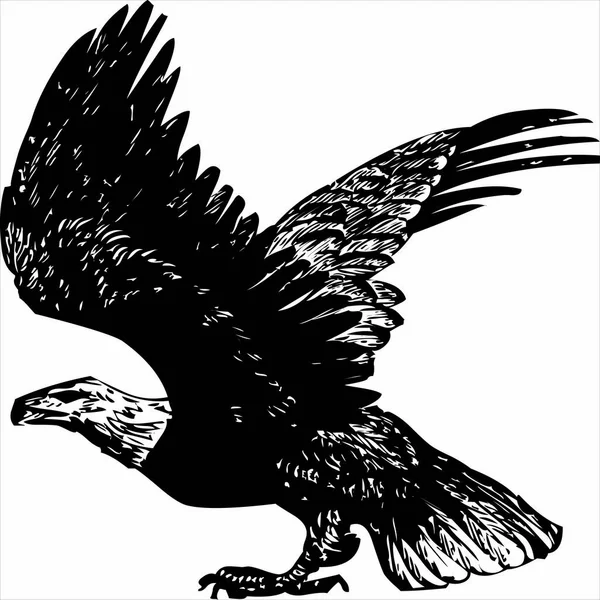 Vecteur Image Icône Aigle Couleur Noir Blanc Fond Transparent — Image vectorielle