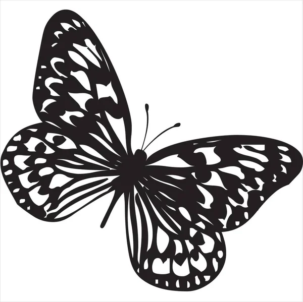 Vector Image Butterfly Black White Color Transparent Background — Stok Vektör