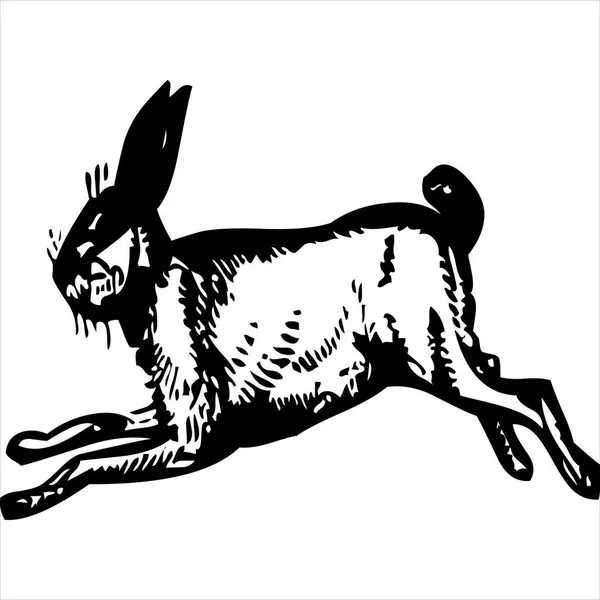 Vector Image Bunny Jumping Black White Color Transparent Background — Image vectorielle