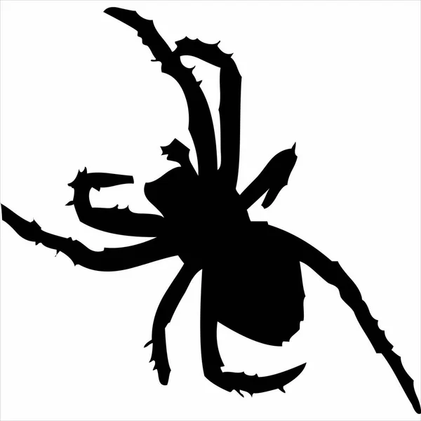 Vector Örümceğin Silüeti Siyah Beyaz Renk Şeffaf Arkaplan — Stok Vektör