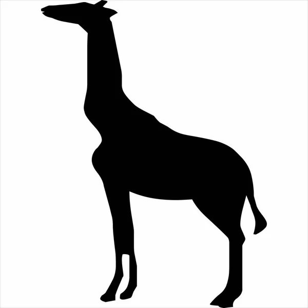Vector Image Giraffe Silhouette Icon Black White Color Transparent Background — Stock vektor