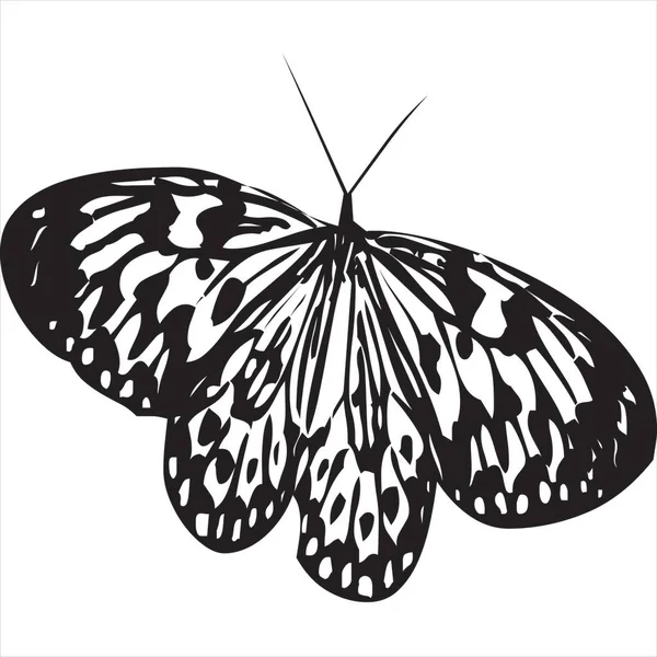 Вектор Изображение Летящей Бабочки Чёрно Белого Цвета Прозрачном Фоне — стоковый вектор