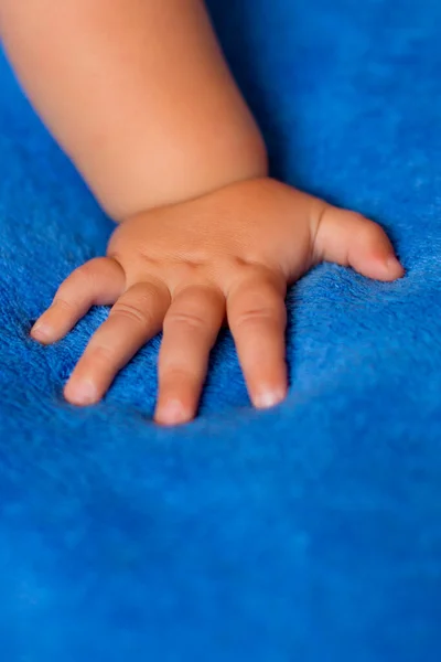Barnets Hand Blå Slöja Full Video Royaltyfria Stockbilder