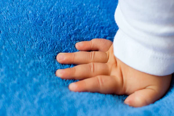 Barnets Hand Blå Slöja Full Video Stockbild