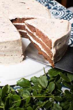 Yeşil yapraklı beyaz bir tabakta ev yapımı çikolatalı pasta.