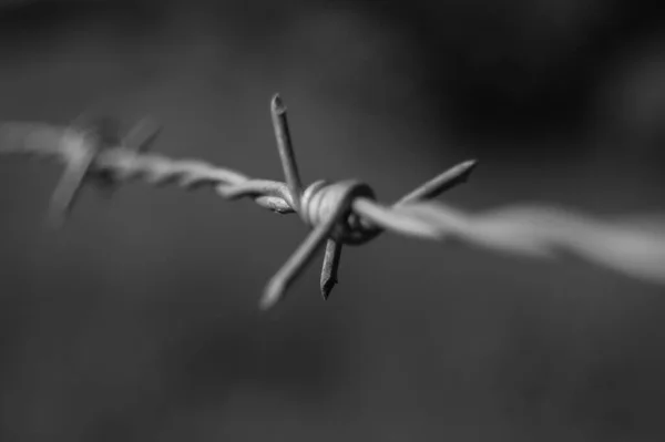 Barbed Wire Black Background — Stock Photo, Image