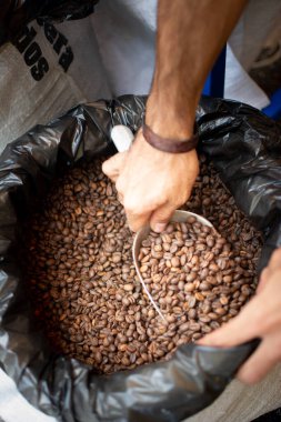 Kızarmış kahve. Kahve çekirdeği. Kahve poşeti. Kahverengi.