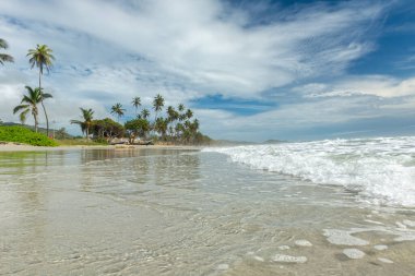 Beautiful beach with palm trees and blue sky. Tropical beach with palm trees. Coconut plants. Blue sea. Sand.