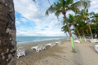 Beautiful beach with palm trees and blue sky. Tropical beach with palm trees. Coconut plants. Blue sea. Sand.