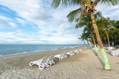 Beautiful beach with palm trees and blue sky. Tropical beach with palm trees. Coconut plants. Blue sea. Sand.