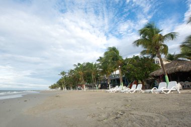 Beautiful beach with palm trees and blue sky. Tropical beach with palm trees. Coconut plants. Blue sea. Sand.