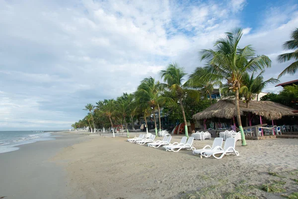 Beautiful beach with palm trees and blue sky. Tropical beach with palm trees. Coconut plants. Blue sea. Sand.