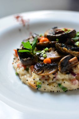 Mantarlar. Sigara, risotto, mantar kreması, salata. vejetaryen yemeği