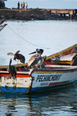 Vietnam sahilinde balık ağları ve tekneler.
