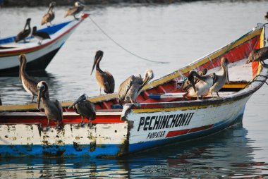 Venedik, İtalya 'da balıkçı tekneleri