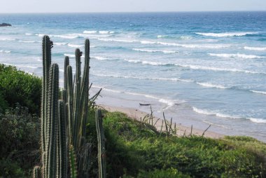 açık hava manzarasının resimsel görüntüsü