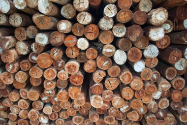 Köy inşaatı için odun parçaları. Kütükler, kütükler, tahta direkler.