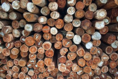 Köy inşaatı için odun parçaları. Kütükler, kütükler, tahta direkler.