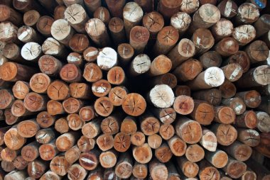 Köy inşaatı için odun parçaları. Kütükler, kütükler, tahta direkler.