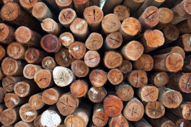 Köy inşaatı için odun parçaları. Kütükler, kütükler, tahta direkler.