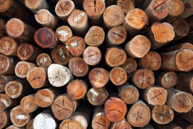 Köy inşaatı için odun parçaları. Kütükler, kütükler, tahta direkler.