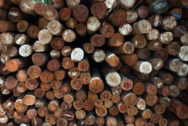 Köy inşaatı için odun parçaları. Kütükler, kütükler, tahta direkler.