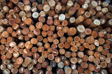 Köy inşaatı için odun parçaları. Kütükler, kütükler, tahta direkler.