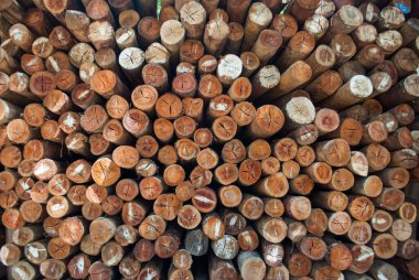 Köy inşaatı için odun parçaları. Kütükler, kütükler, tahta direkler.