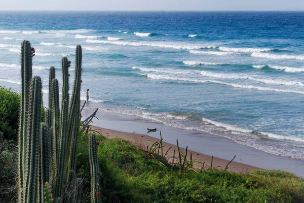 İsrail 'in güneyindeki kumsal denizi.