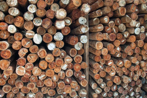 Köy inşaatı için odun parçaları. Kütükler, kütükler, tahta direkler.